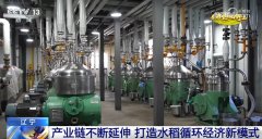 <b>良种、良法、良机护航正在郊野好“丰”光里看</b>