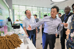 结合国粮农组织总干事屈冬玉来华进行工做拜候