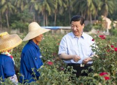 时政微察看丨糊口像花儿一样美
